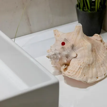 דירה Shelter Luxury רוגובו