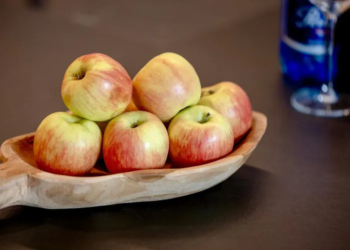 Shelter Luxury * רוגובו