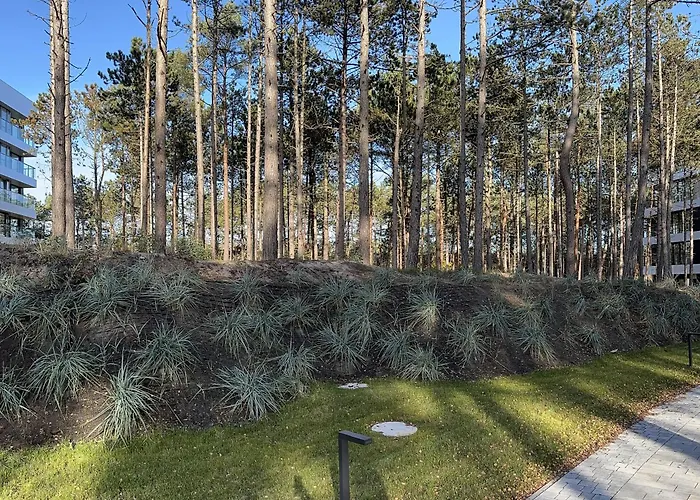 Shelter Luxury דירה רוגובו